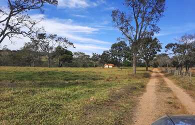 Imagem 12: Fazenda de 60 ha em Itapecerica MG