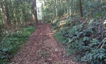 Imagem 7: ÁREA DE TERRAS COM 13,5 HECTARES EM SANTA MARIA DO HERVAL