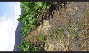 Imagem 5: Imóvel Terreno / lote com venda por R$60.000