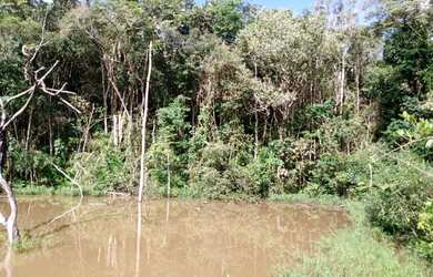 Imagem 6: Terreno de 40 há em Itaguara MG