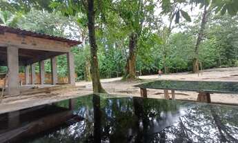 Imagem 5: Sítio localizado em Rosário-Ma