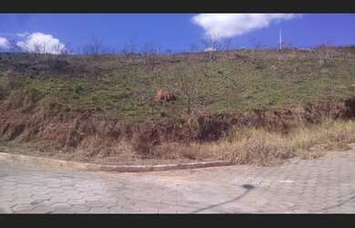 Imagem 6: Ótimo Lote !! Terreno / lote com venda com preço sob consulta