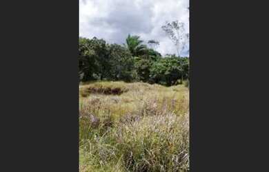 Imagem 6: Oportunidade na Linha Verde