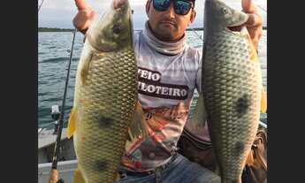 Imagem 7: Aluguel para temporada castilho - rancho dos seis