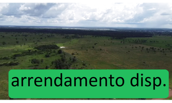 Imagem 3: 185 Alqs Arrendamento Disponivel Pra Soja Vale do Araguaia TO