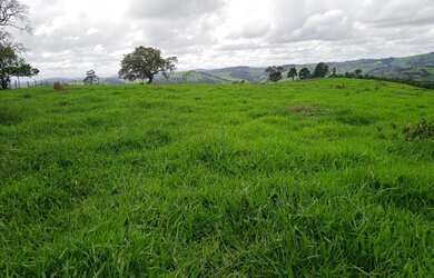 Imagem 5: Fazenda de 78 há em Bonfim MG