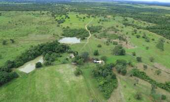 Imagem 3: Fazenda Fátima Tocantins