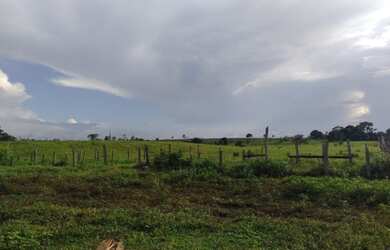 Imagem 4: R$ 5 milhões fazenda de 200 alqueires com 154 alqueires de pasto