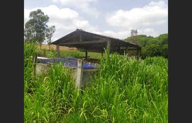Imagem 4: Fazenda de 10 ha em Carmo da Mata