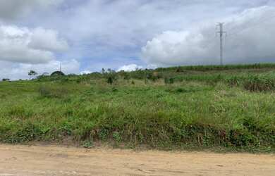 Imagem 4: Oportunidade Sitio em Pedra de Fogo