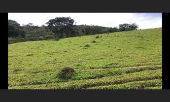 Imagem 4: Fazenda de 190 há em São João Del Rei Minas Gerais
