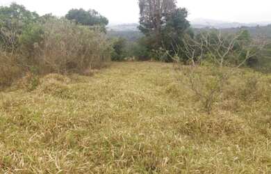 Imagem 6: Fazenda de 61 ha em passa tempo