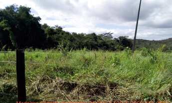 Imagem 6: VENDO!!! Um sítio de 15 hectares na estrada do Manso 58 km de asfalto + 21 de chão