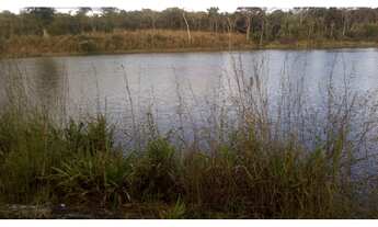 Imagem 2: Sitio brumado regiao Nossa senhora do livramento MT