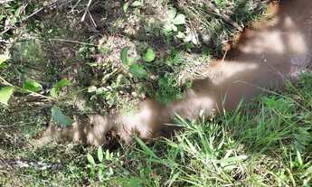 Imagem 3: Terreno de 10 há em Piedade dos Gerais MG