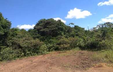 Imagem 7: Sítio com 50 hectares na estrada de igarapé açu por 400 mil reais documentada