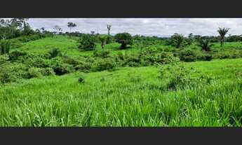 Imagem 7: Fazenda - à venda - 5.000ha- Sena Madureira-AC