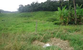 Imagem: Perfeita Chácara em Murici