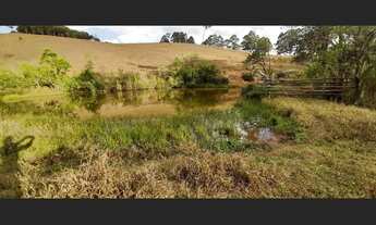 Imagem 3: Fazenda de 100 ha em Itaguara MG