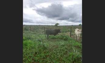 Imagem 2: 127 Alqs Planta Córregos Ótima Logística Região Palmas TO
