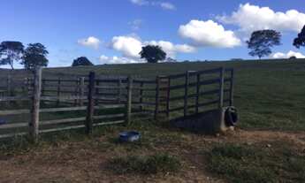 Imagem 3: Fazenda na região de Alagoinhas