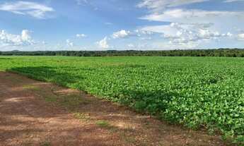 Imagem 1: 234 Alqs Plantado Soja Córregos Região Araguaina TO