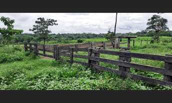 Imagem 5: Fazenda - à venda - 5.000ha- Sena Madureira-AC