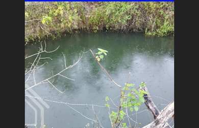 Imagem 7: EXCELENTE PROPRIEDADE RURAL PARA VENDA EM SÃO BENEDITO