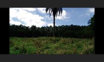 Imagem 3: Sítio de 8 há em Itaguara MG