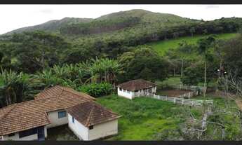 Imagem: Fazenda de 115 há em Desterro de Entre