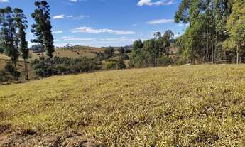 Imagem 6: Terreno de 36 há em Oliveira
