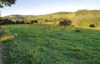 Imagem 16: Fazenda de 128 há em São Tiago