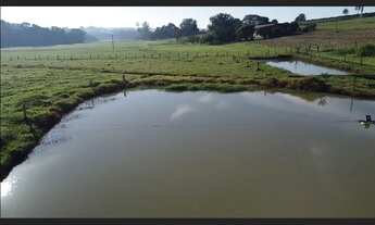 Imagem: Sitio proximo cidade com 11,6 has Artur