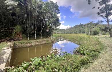 Imagem 2: Sítio à Venda em Juquitiba SP com 40.000 m2, casa, lago e nascentes!
