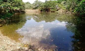 Imagem: Fazenda de 14 ha em Itaguara no Rio Para