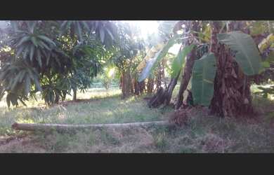 Imagem 5: Imóveis em Itapajé Ce