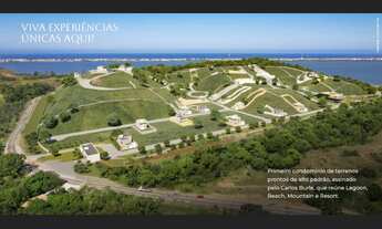 Imagem: Experience By Carlos Burle. 