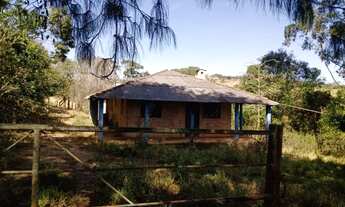 Imagem 4: Fazenda 53 há Passa Tempo