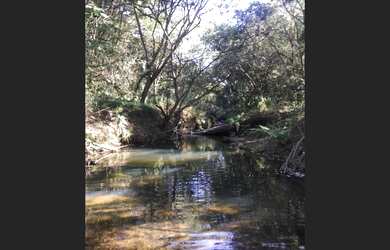 Imagem 2: Casa/chácara/condomínio com rio e lagoa dentro