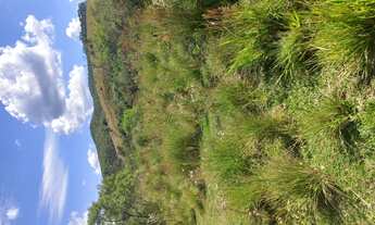 Imagem 6: Vende-se um sítio em Bom Jardim de minas