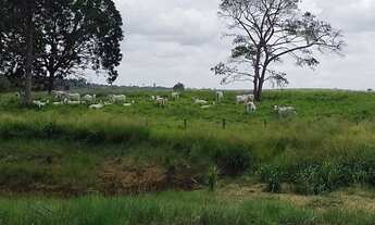 Imagem: R$8.000.000 fazenda de 230 Alqueires com