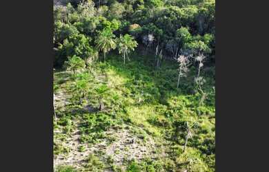 Imagem 4: Fazendinha em jaguaripe-Ba