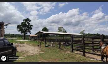 Imagem 5: 200 hectares pronta e documentada sentido Capanema