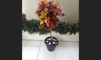 Imagem 4: Espaço Itacoatiara- AM - Pousada