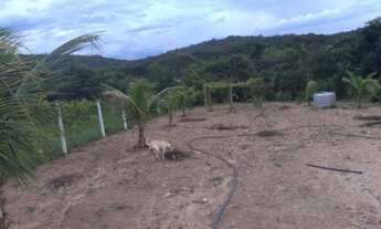 Imagem 7: Vendo essa chácara 2mil metros