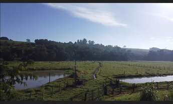 Imagem 3: Sitio proximo cidade com 11,6 has Artur Nogueira SP