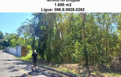 Imagem 5: Terreno no Uruguai