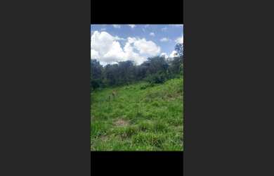 Imagem 5: Fazenda de 24 há em Claudio MG