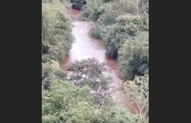 Imagem 3: Londrina chácara 2 alqueires a 5 Kilometros da cidade de jardim alegre no Paraná