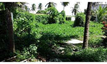 Imagem 3: Casa com terreno e 2.000m² em Barra de Jangada